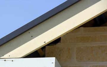 Lease Rigg fascia repairs